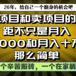 做项目和卖项目不只是月入3K和10W那么简单，一个努力搬砖，一个在家躺賺【揭秘】