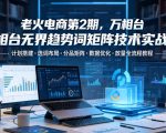 老火电商第2期，万相台无界趋势词矩阵技术实战课，计划搭建・选词布局・分品矩阵・数据优化・放量全流程教程