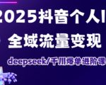 抖音个人IP全域流量变现进阶课，deepseek千川爆单进阶课（更新2026年06月）