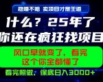 26年，请不要疯狂的找项目做了！卖项目才是真的稳賺不赔，看完照做，保底日入1k+【揭秘】