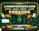 三农新媒体电商流量增长实操课，账号定位・内容创作・直播带货・小店运营，全链路实战教程