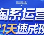 淘系运营21天速成班，0基础轻松搞定淘系运营，不做假把式，快速复制落地(更新26年6月)