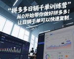 拼多多日销千单训练营，从0开始带你做好拼多多，让日销千单可以快速复制(更新26年6月)