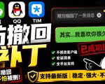 Windows下PC版微信/QQ/TIM的防撤回多开工具！开源免费使用，且免费长期维护RevokeMsgPatcher