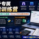 财会审计专属AI实战训练营｜AI协同编程+Python审计工具箱+Excel VBA加载项落地