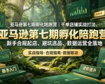亚马逊第七期孵化陪跑营｜千单店铺实战打法，新手合规起店、避坑选品、数据运营全落地（更新0625）