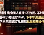【最新】淘宝无人直播：不违规、不封号，直播42小时狂卖14W，下半年流量起飞，还能批量矩阵操作【揭秘】
