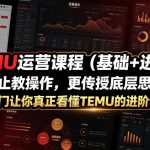 TEMU运营课程（基础+进阶），不止教操作，更传授底层思维，一门让你真正看懂TEMU的进阶课