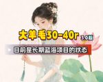 【大羊毛】几分钟30-40r，【流量体联盟】，可以矩阵，操作无脑简单