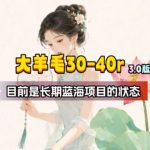 【大羊毛】几分钟30-40r，【流量体联盟】，可以矩阵，操作无脑简单