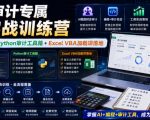 财会审计专属AI实战训练营｜AI协同编程+Python审计工具箱+Excel VBA加载项落地（更新0710）