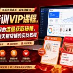 淘宝培训VIP课程，各种经典有用的流量获取秘籍，从淘宝新店到天猫店铺的实战教程（更新7月）