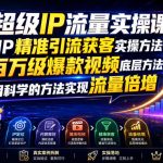 超级IP流量实操课，IP精准引流获客实操方法，百万级爆款视频底层方法，用科学的方法实现流量倍增