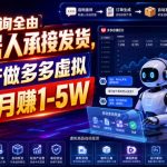 订单咨询全由机器人承接发货，轻资产做多多虚拟稳定月賺1-5W【揭秘】