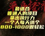 最适合普通人的项目，拿出执行力一个人每天搞个800-1k很轻松【揭秘】