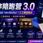 AI写作陪跑营3.0，Ai智能体创建写作skill（workbuddy）+人工手写模式（手搓模式），去除AI痕迹（头条号、公众号、百家号）（更新0806）