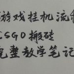 游戏挂G全流程笔记分享，CSGO游戏搬砖，小白看了当天学会见收益【揭秘】