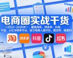 电商圈实战干货（2023-2026年），覆盖淘系、拼多多、抖音、小红书等多平台，助力电商人避开坑、提效率、稳盈利（更新08月08日）
