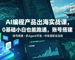 AI编程产品出海实战课，0基础小白也能跑通，账号搭建・多Agent开发・市场调研全流程，月入千刀跨境变现教程（更新）