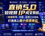 大元子直销5.0短视频IP成交系统｜搭建账号、内容、运营三大体系，打造线上最小倍增单位