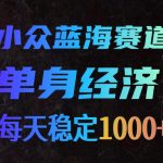 小众蓝海赛道，单身经济，每天稳定1000+，新手友好、门槛极低【揭秘】