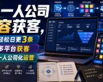 AI一人公司内容获客，轻松日更3条，多平台获客，一人公司化运营（更新0827）