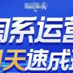 淘系运营21天速成班，0基础轻松搞定淘系运营，不做假把式，快速复制落地(更新26年8月)