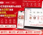 8月AI小红书虚拟电商Pro训练营，手把手带你从0到1跑通虚拟电商全流程，给普通人的最短商业变现路径（更新0829）