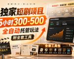独家短剧项目，5小时300-500，全自动托管玩法，附全套工具【揭秘】