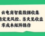 云电商智能数据收集，稳定无风控，当天做当天见收益，零成本矩阵操作【揭秘】