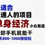 身经济小众赛道，一部手机就能干，每天搞个800-1000很轻松，最适合普通人的项目【揭秘】