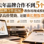 去年品牌合作不到5个？《品牌合作蓝图》教你用现成模板拿高价赞助，还能锁长期饭票！【原创双语字幕】