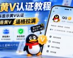 QQ黄V认证教程，个人主资料显示黄V认证，号下所有群都是黄V，逼格拉满