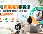 视频号流量闭环系统课，从人设定位、内容变现到IP影响力全链路落地，开启你的IP流量影响力