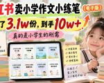小红书卖小学作文小练笔（电子版），卖了3.1w份，到手10w+，真的是小学生的刚需