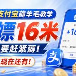 最新支付宝薅羊毛教学，白嫖16米，有需要赶紧薅，现在还有！