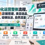 李哥电商-抖店精细化运营整体流程，一站式吃透店铺搭建、类目选品、体验分拉升、动销玩法、自然流量与千川投放