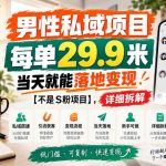 男性私域项目，每单29.9米，当天就能落地变现【不是S粉项目】，详细拆解