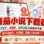 番茄小说下载器，TXT、PDF、EPUB三种格式可选，做小说推文、AI短剧、漫剧人员必备！！！