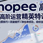 Shopee虾皮高阶运营精英特训营，高阶运营技巧+流量提升+转化率优化，助你业绩翻倍（更新26年9月）