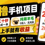 零撸手机项目，二十秒完成一单，纯薅羊毛，上手就有收益，勤快点单日收益可达200+【揭秘】