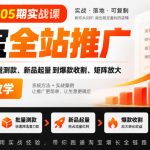 老火电商05期实战课｜淘宝全站推广从计划搭建、批量测款、新品起量到爆款收割、矩阵放大全链路教学