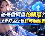 新号做网盘怕限流？这套打法让我起号就跑通，网盘项目推广的8.0版本教学