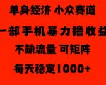 26年暴力单身经济，稳定日入500-1k，不缺流量，流量极大，冷门小众赛道，门槛低小白轻松上手【揭秘】
