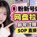 0粉新号做网盘拉新，新号过限流，SOP直接抄
