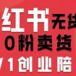 小红书无货源0粉电商课，开店准备、选品策略、笔记撰写、视频剪辑、数据分析、账号打造、资料文档（更新26年10月18日）