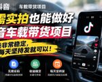 无需实拍也能做好抖音车载带货项目，收益非常稳定，每天坚持发就可以！