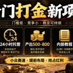 冷门打金新项目，24小时托管，产出500-800，内部教程【揭秘】