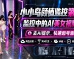 小小鸟颜值监控第四期，监控中的AI美女视频教学，去AI提示，快速起号涨粉，网盘拉新+商K引流+收徒+商单等多种收益