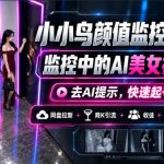 小小鸟颜值监控第四期，监控中的AI美女视频教学，去AI提示，快速起号涨粉，网盘拉新+商K引流+收徒+商单等多种收益
